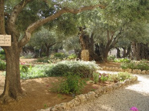 Garden of Gethsemane